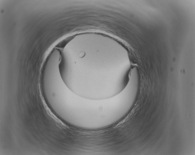 X0000082761518200702240051