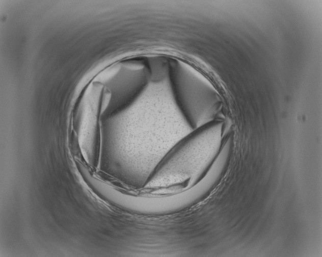 X0000082761520200702240051