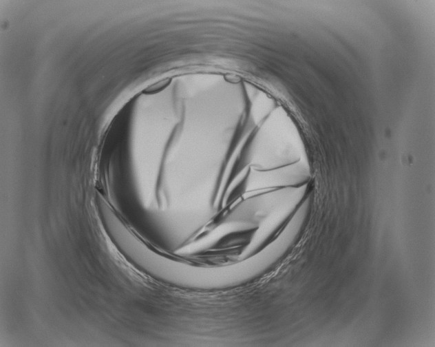 X0000082761524200702240051