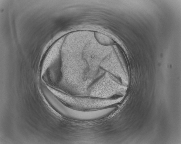 X0000082761525200702240051