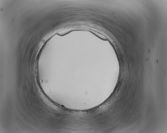 X0000082761526200702240051