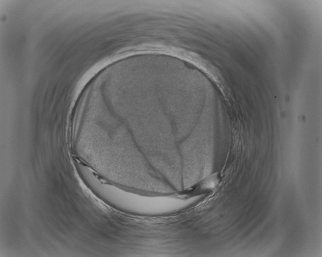 X0000082761527200702240051