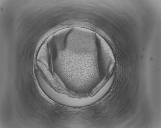 X0000082761528200702240052