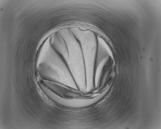 X0000082761530200702240052