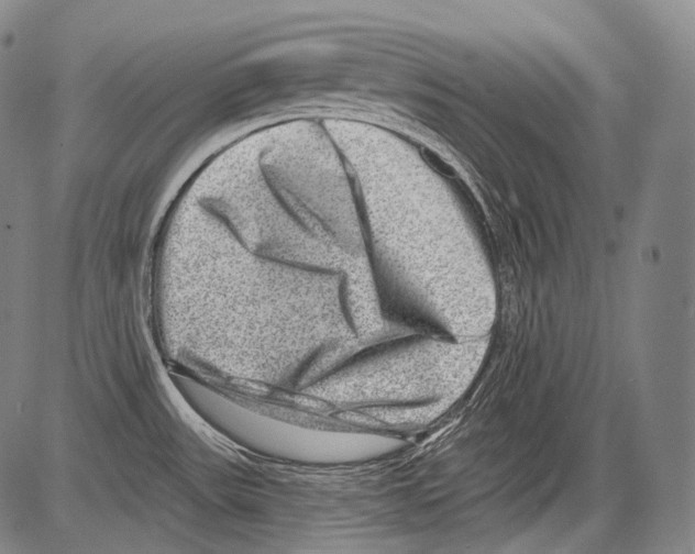 X0000082761531200702240052