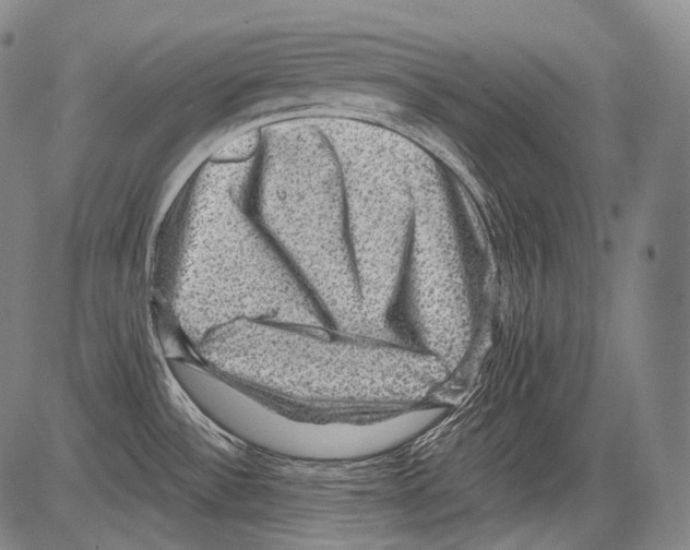 X0000082761532200702240052