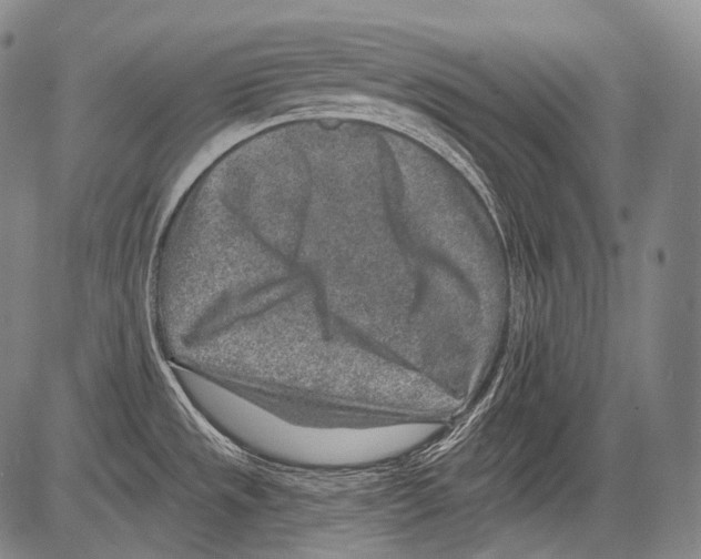 X0000082761533200702240052