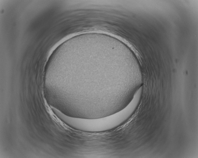 X0000082761534200702240052