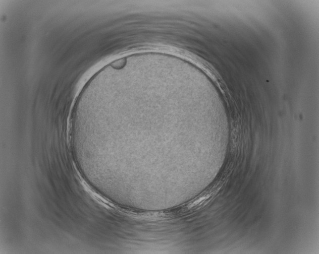 X0000082761535200702240052