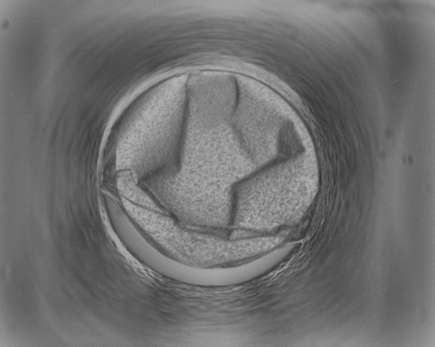 X0000082761536200702240052