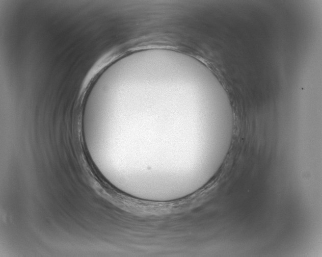 X0000082930004200702011058