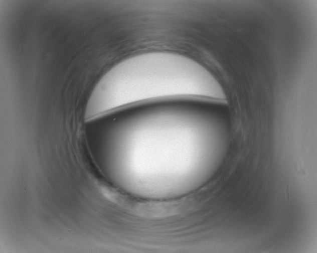 X0000082930025200702011058