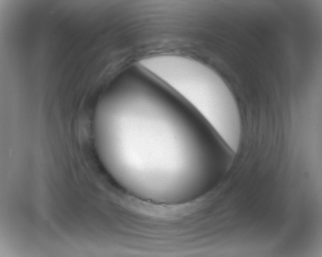 X0000082930035200702011057