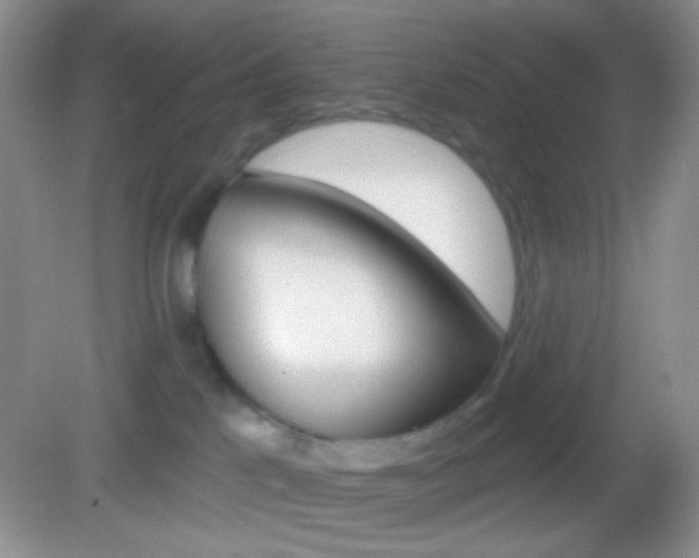 X0000082930041200702011057