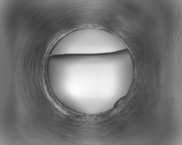 X0000082930049200702011056