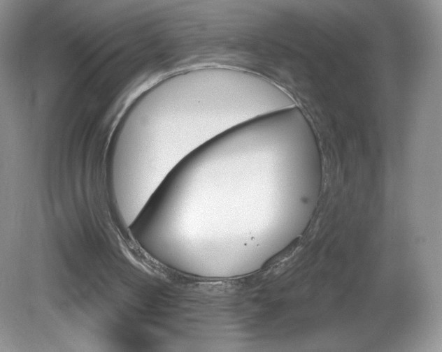 X0000082930050200702011056