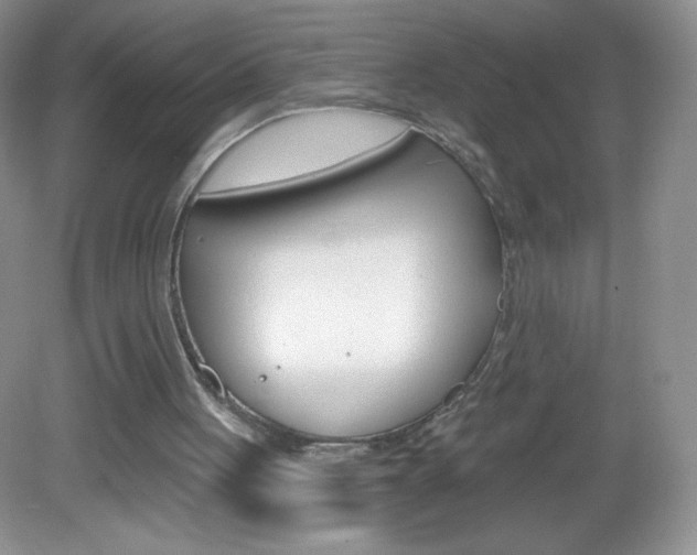 X0000082930051200702011056