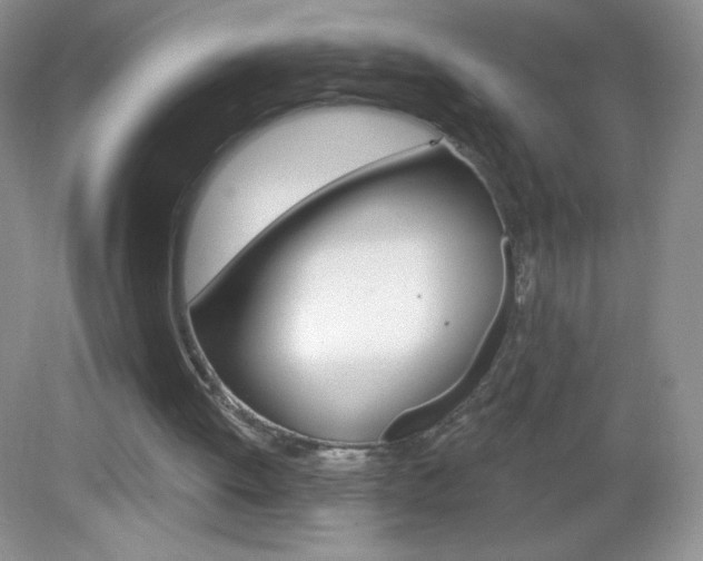 X0000082930052200702011056