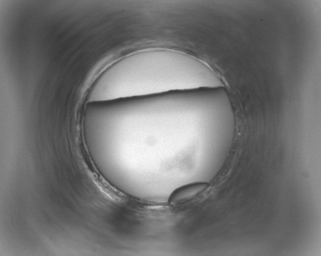 X0000082930053200702011056