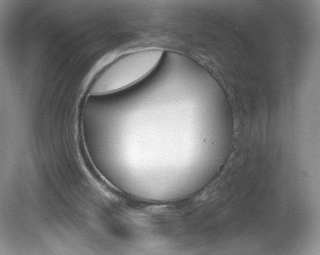 X0000082930054200702011057