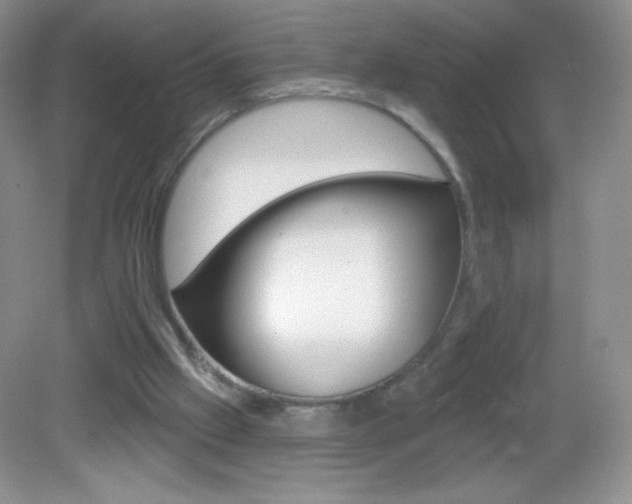 X0000082930057200702011057