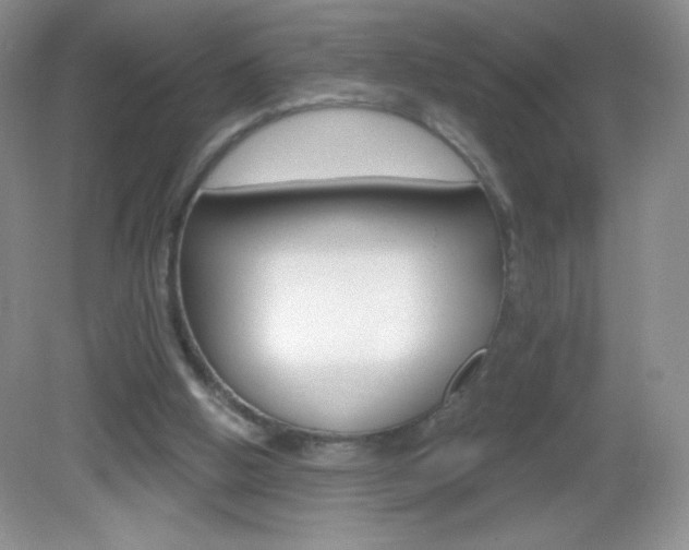 X0000082930058200702011057