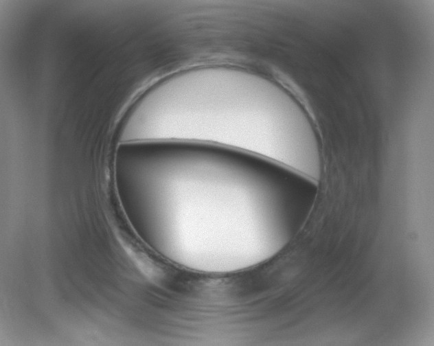 X0000082930059200702011057