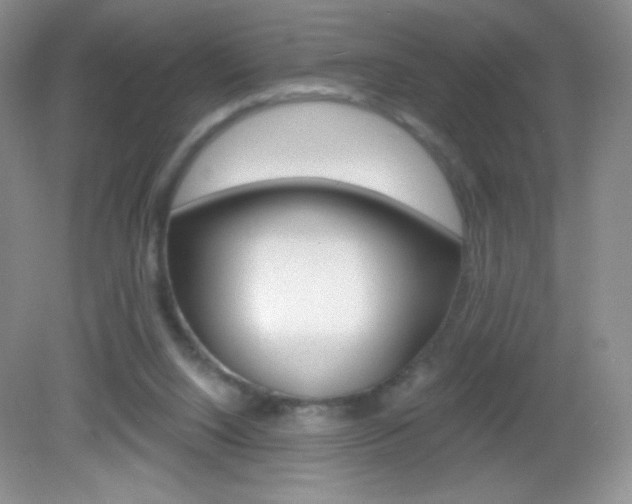 X0000082930064200702011057