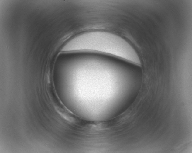 X0000082930068200702011057