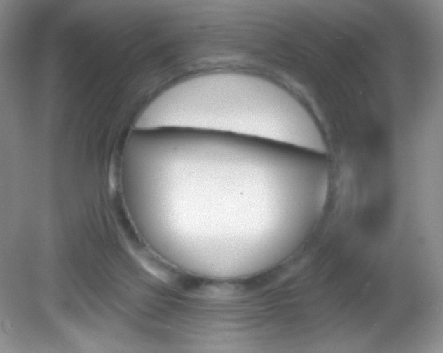 X0000082930069200702011057