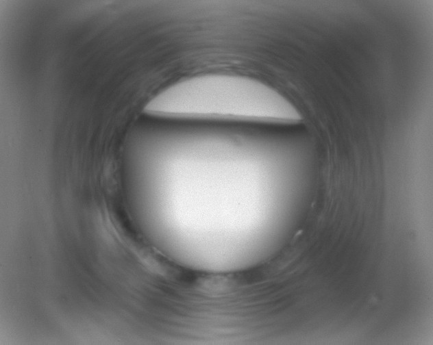 X0000082930079200702011057