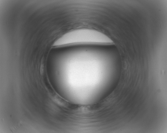 X0000082930080200702011057