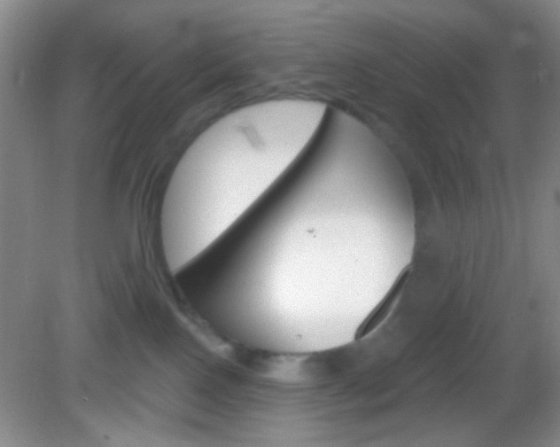 X0000082930090200702011057