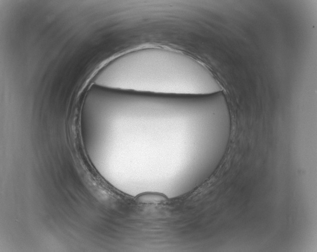 X0000082930098200702011056