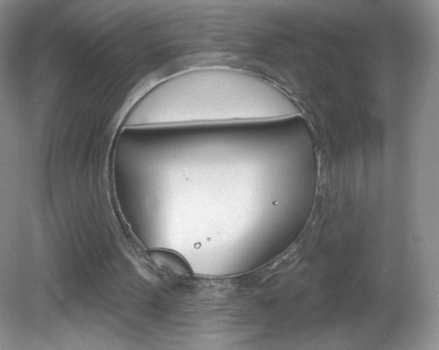 X0000082930099200702011056
