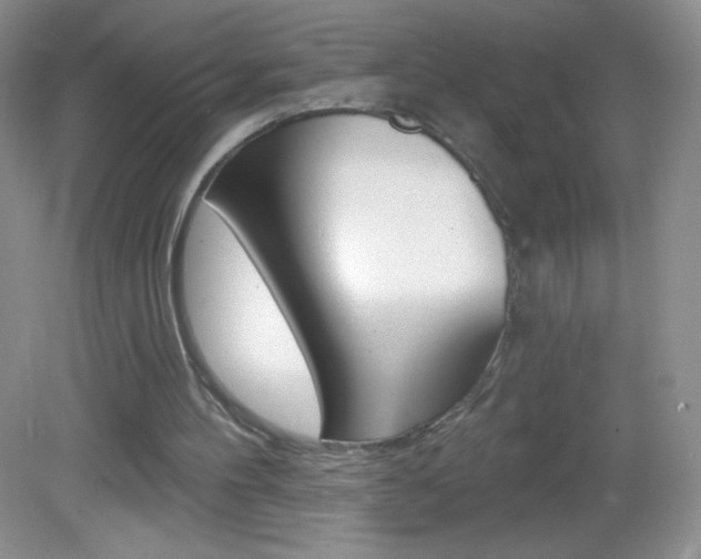 X0000082930100200702011056