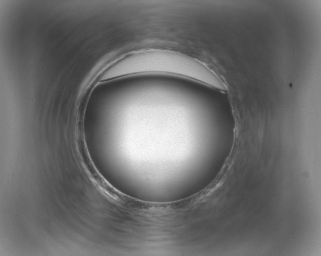 X0000082930101200702011056