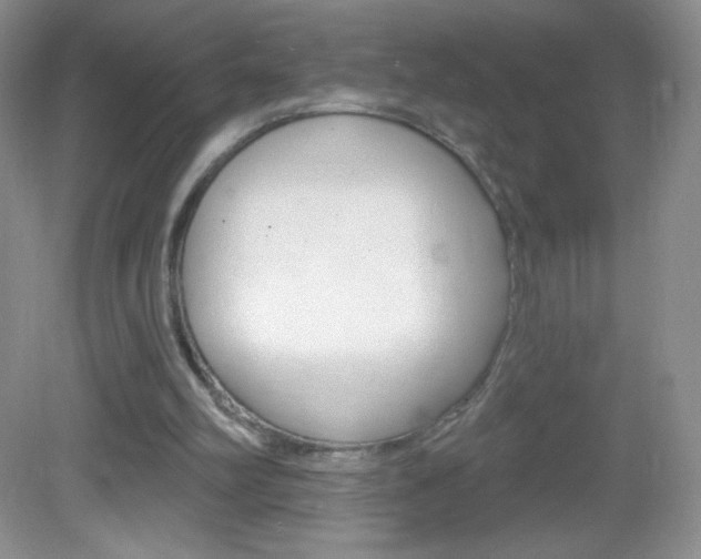 X0000082930102200702011056