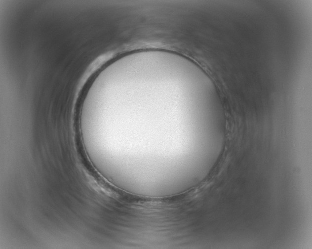 X0000082930104200702011056