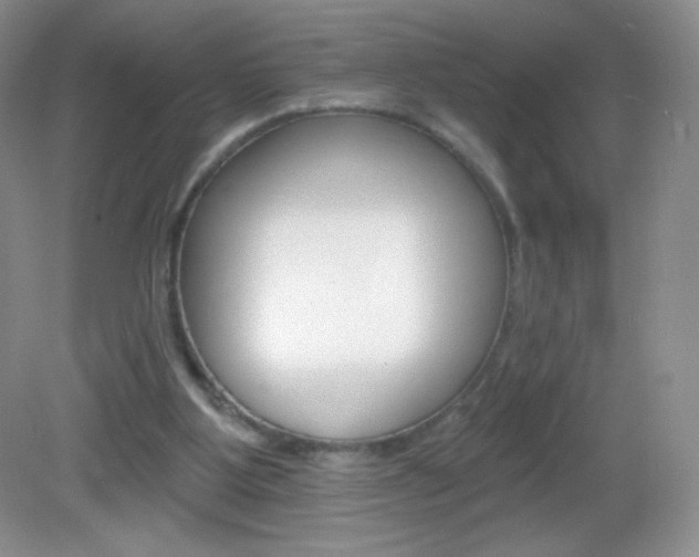 X0000082930107200702011056