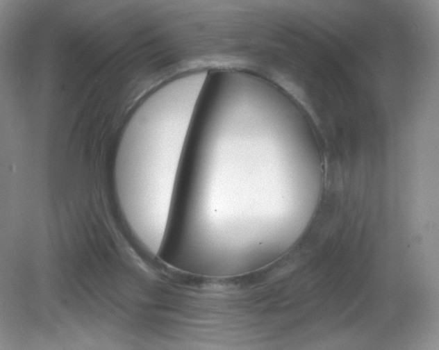 X0000082930109200702011056