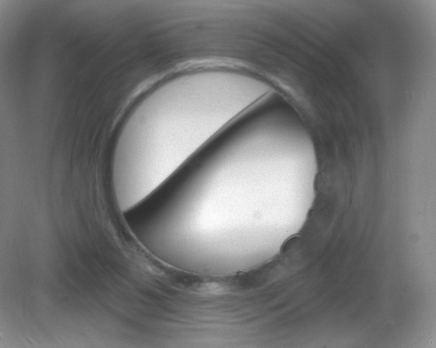 X0000082930111200702011056