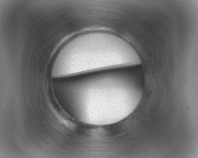X0000082930112200702011056