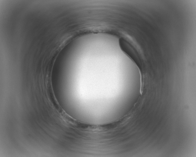 X0000082930113200702011056