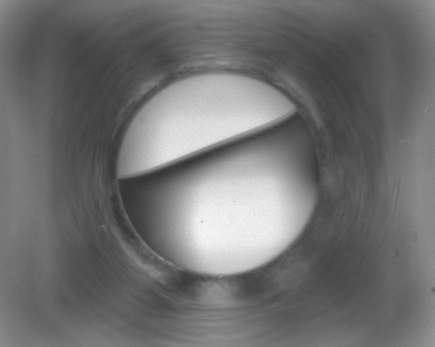 X0000082930115200702011056