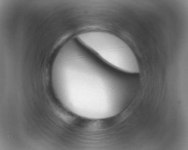 X0000082930116200702011056
