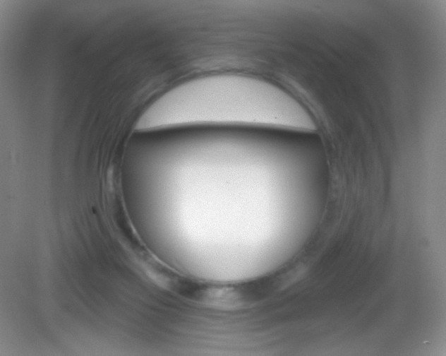 X0000082930117200702011056