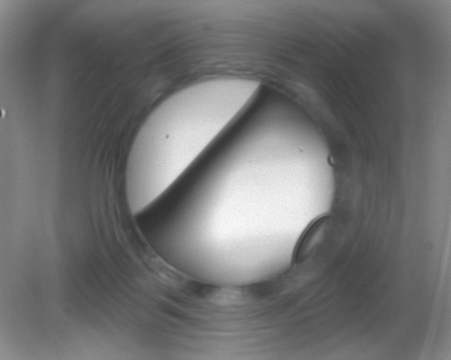 X0000082930123200702011056