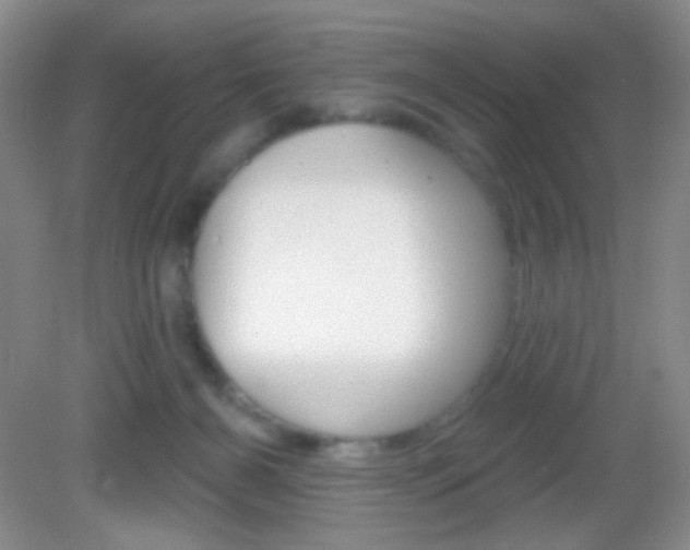 X0000082930126200702011056