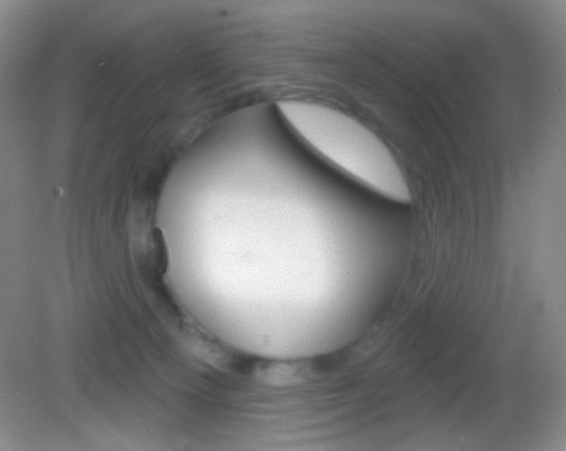 X0000082930129200702011056